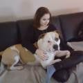 Safe-place-for-your-pet-:)-226988-0