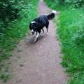 https://uk.holidog.com/ImagesPetSitters/058B2CAC-E349-4895-9D9D-3F029E460E5A_square_120.jpg 131844-2