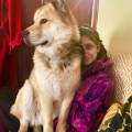 Dog-&-Cat-Lover-You-Can-Trust-17460-1