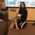 https://uk.holidog.com/ImagesPetSitters/08B18DCB-70C6-4914-BDD8-9276BC2F082E_square_120.jpg Experienced-Veterinary-Student-276731-0
