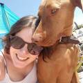 https://uk.holidog.com/ImagesPetSitters/10E8AA89-7CD6-4C38-A353-692F62115299_square_120.jpg Available-in-Summer-Holidays-226306-0