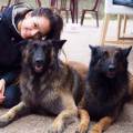 https://uk.holidog.com/ImagesPetSitters/1515CAB5-B063-463C-9BE2-3A920F39483A_square_120.jpg Annita-Animal-247522-2