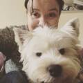 https://uk.holidog.com/ImagesPetSitters/18F90CEE-C5E6-49F7-AC44-B38AF8C6F983_square_120.jpg Experienced-pet-sitter/dog-walker-192612-0