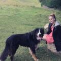 I-would-give-my-life-for-my-dogs-:)-96324-1
