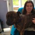 https://uk.holidog.com/ImagesPetSitters/19ACFD27-9D6E-4205-8305-6EE3401AC80E_square_120.jpg Experienced-Veterinary-Student-276731-3