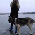 https://uk.holidog.com/ImagesPetSitters/1A41C1A0-CF28-4760-B86E-659FE6EDDCD8_square_120.jpg Your-dog-will-be-happy-with-me-192180-2