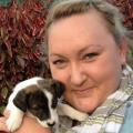 Let-me-give-your-dog-a-paw-94407-0