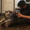 https://uk.holidog.com/ImagesPetSitters/1D49DE79-A14D-4CCF-B42C-3E521238DDBA_square_120.jpg Comprehensive&Affordable-Dog-Sitter-242255-0