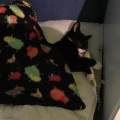 Loving-Haven-for-All-115176-1