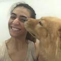 https://uk.holidog.com/ImagesPetSitters/1ECAA415-05BD-4C8D-9CE3-87BFB71057E9_square_120.jpg Passion--214072-1
