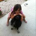 https://uk.holidog.com/ImagesPetSitters/247512A1-10F3-45BF-B9DE-AC4BF6B0ADDE_square_120.jpg Doggy-Heaven-116109-2