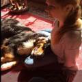 https://uk.holidog.com/ImagesPetSitters/275E0784-FD21-4FEA-AF29-B7D8B4250430_square_120.jpg The-other-end-of-the-leash-170938-3