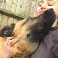 https://uk.holidog.com/ImagesPetSitters/2761D55F-DF02-4A64-B9E2-6B71A22168CD_square_120.jpg Animal-Haven-37885-2