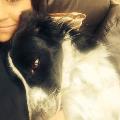 https://uk.holidog.com/ImagesPetSitters/28E551F8-2582-4377-8B27-37F32645E9DA_square_120.jpg 21874-0