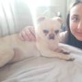 Loving,-Reliable-Pet-Sitter-629038-1