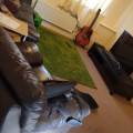 Spacious-flat-for-Dog-Sitting-145294-2