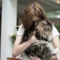 https://uk.holidog.com/ImagesPetSitters/2D2ECF12-B350-448C-8221-3DA46F04E5D7_square_120.jpg Cosy-care-for-animals--47866-0