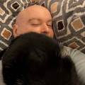 https://uk.holidog.com/ImagesPetSitters/331A9E32-670E-46E8-93DE-CA5AD2D10D57_square_120.jpg pets-deserve-the-best-care-596930-2