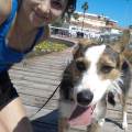 https://uk.holidog.com/ImagesPetSitters/3388279F-EFCC-43B4-B756-CCA23AE9F9EA_square_120.jpg 🐾-Caring-Pet-Sitter-&-Dog-Walker-664433-2
