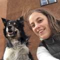 https://uk.holidog.com/ImagesPetSitters/34EEFEA2-7EF6-45E4-9E17-8732041E4429_square_120.jpg I-live-for-animals!-243032-1