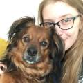 https://uk.holidog.com/ImagesPetSitters/37946ADD-4426-4CC6-9073-8E2CE2CF7C08_square_120.jpg Loving-Home-&-Rescue-Dog-Owner-240181-0