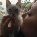 https://uk.holidog.com/ImagesPetSitters/39A21954-B113-449A-8D71-D156FC154154_square_120.jpg All-animals-welcome!-200889-2