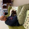 https://uk.holidog.com/ImagesPetSitters/3B62D417-0566-4E50-8850-BA299262E103_square_120.jpg Better-life-with-pets-around!-258370-1
