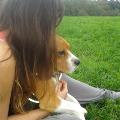https://uk.holidog.com/ImagesPetSitters/3C4C641D-06B4-4ACE-94DA-C0F7A20B0F5C_square_120.jpg Dog-lover-for-rent-:)-51009-0