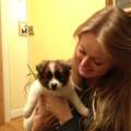 dog-cuddling&walking-home-from-home-226804-1