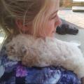 https://uk.holidog.com/ImagesPetSitters/401C7006-B40B-4504-9C42-6B4464D939BB_square_120.jpg Dog-lover-with-lots-of-experience!-68472-2