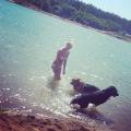 https://uk.holidog.com/ImagesPetSitters/45DA99FF-9EEF-46E9-BA66-A3E843F0DAD8_square_120.jpg A-dogs-best-friend-51754-0