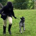 https://uk.holidog.com/ImagesPetSitters/4AE17270-4149-4CC7-B105-973FD58A92F6_square_120.jpg They-called-it-doggy-love-93419-1