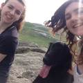 Dog-lover-in-Poole-142828-3
