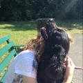 WONDERFUL-WALKIES-75036-3