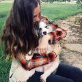 https://uk.holidog.com/ImagesPetSitters/5564FE10-D617-4273-9250-1655D83CDE2B_square_120.jpg 28757-0