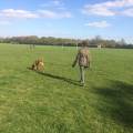https://uk.holidog.com/ImagesPetSitters/5A6268FA-66AD-4B39-98B1-E426A1FFD41E_square_120.jpg Loving-and-caring-petsitter!-194573-1