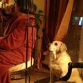 https://uk.holidog.com/ImagesPetSitters/5C08DDE3-EB2B-444E-A5E3-021E8811F4A3_square_120.jpg Animals-lover-:)-167662-1
