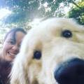 https://uk.holidog.com/ImagesPetSitters/5D2C9443-3A40-4AD2-BE75-4D446B13622E_square_120.jpg Experienced-pet-sitter/dog-walker-192612-1
