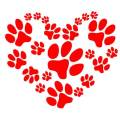 https://uk.holidog.com/ImagesPetSitters/5EEFFCC0-1DAD-4F25-8BA4-CC563E43007D_square_120.jpg Holiday-Care-for-Pup-with-Love-248510-0