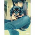 https://uk.holidog.com/ImagesPetSitters/5F66B71A-C3DC-4F67-B202-245C6A7F1E15_square_120.jpg Keen-animal-lover!-71428-0