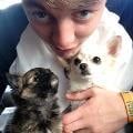 petsitter stranger