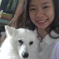 https://uk.holidog.com/ImagesPetSitters/6738049C-72C7-4226-8C0F-084F23132CBD_square_120.jpg Lovers-for-animals--189320-1