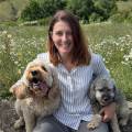 https://uk.holidog.com/ImagesPetSitters/6A066657-5948-4EEA-84EE-039389FB5ACF_square_120.jpg Reliable-and-Fun-Walks--624514-2