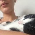 https://uk.holidog.com/ImagesPetSitters/6A5A8CAB-B111-403A-A2E0-FF3212ACBB13_square_120.jpg Cat-lover-and-dog-walker-219246-2