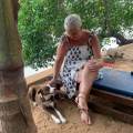 https://uk.holidog.com/ImagesPetSitters/7482A78C-A44B-4BA1-9A12-FCB96ABFB9A9_square_120.jpg Paradise-for-dogs-457940-0