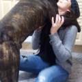 https://uk.holidog.com/ImagesPetSitters/7AFE25DC-3533-4E18-9072-A43F91AC11E5_square_120.jpg The-dog-lover!-200108-0