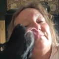 https://uk.holidog.com/ImagesPetSitters/7B7E00EE-75D2-4EC2-8F52-36865BCDC5CD_square_120.jpg 623936-2
