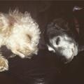 petsitter stranger