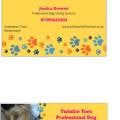 Twinkle-Toes-Dog-Sitting-Services-138576-0