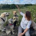 https://uk.holidog.com/ImagesPetSitters/8D229786-0A15-4D88-816D-62B1EBFAA190_square_120.jpg Reliable-and-Fun-Walks--624514-0